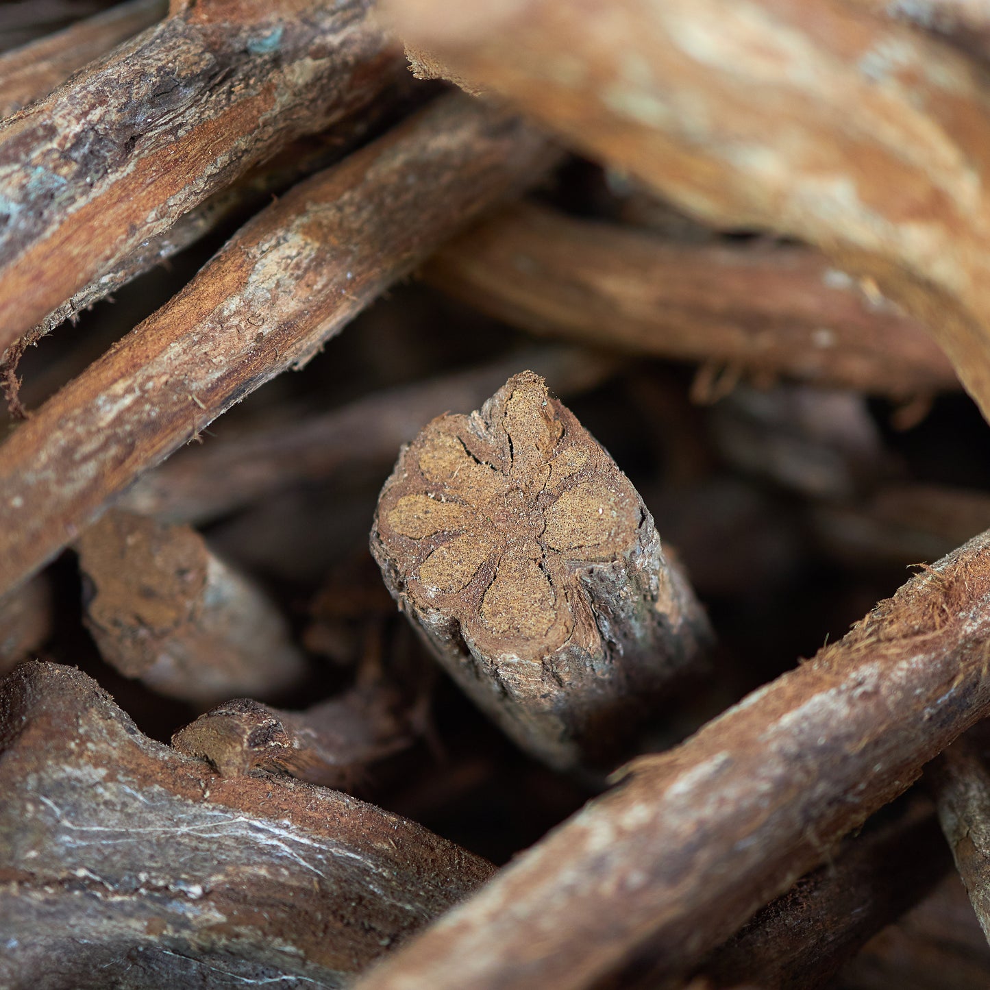 Pure Being - B. Caapi, Ayahuasca Extract